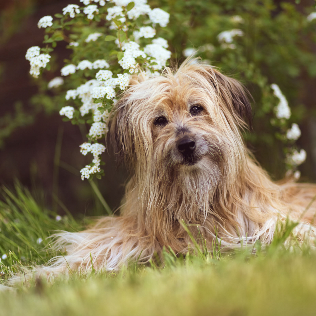 Fotoshooting mit Jasmin